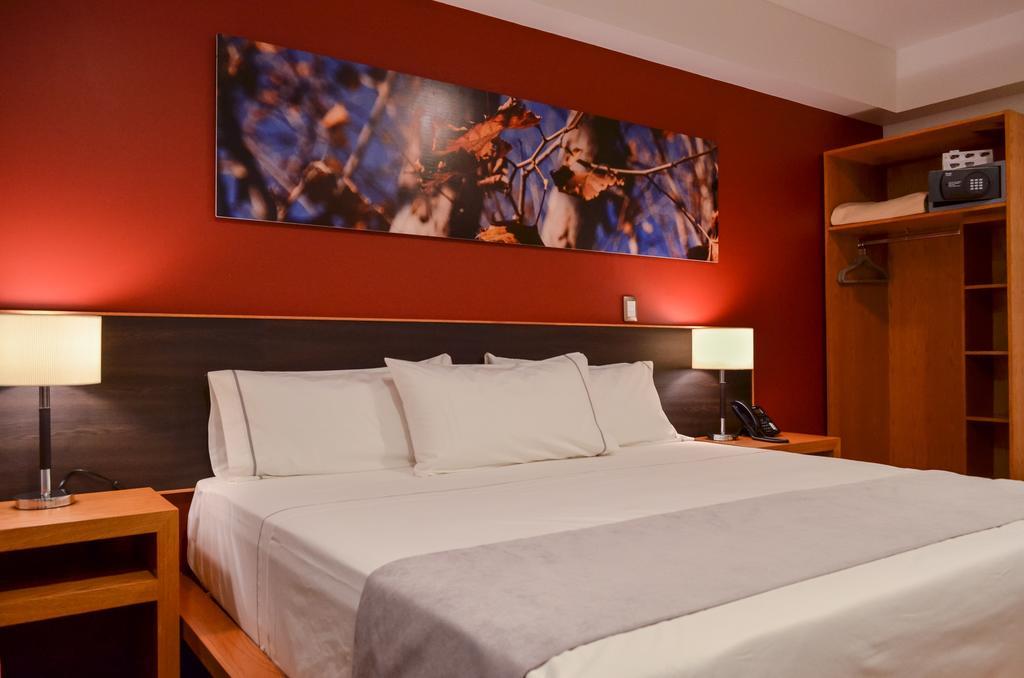סמורה דה הידאלגו Concept Hotel חדר תמונה
