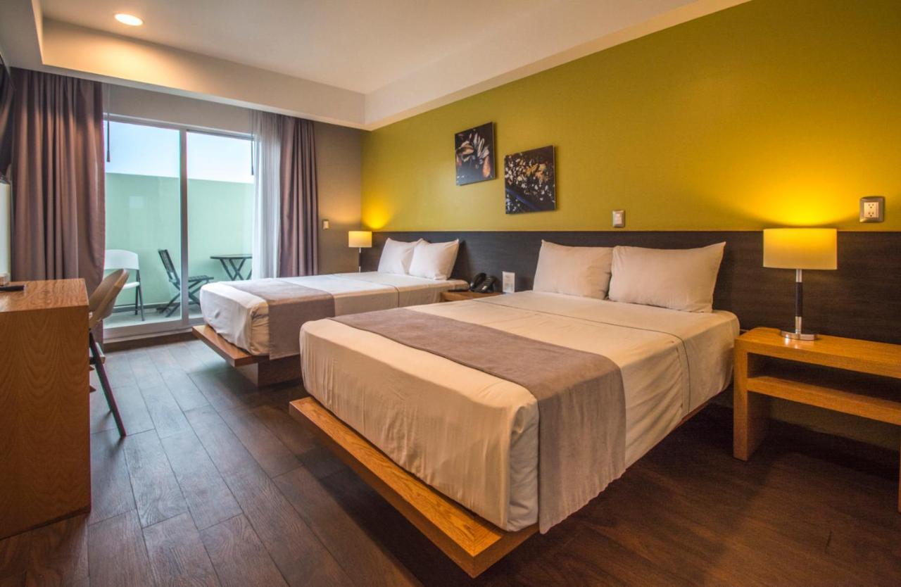 סמורה דה הידאלגו Concept Hotel מראה חיצוני תמונה